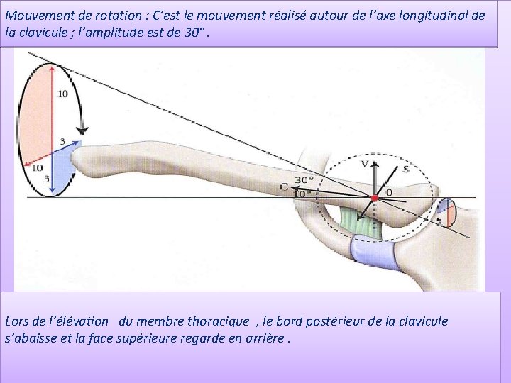 Mouvement de rotation : C’est le mouvement réalisé autour de l’axe longitudinal de la