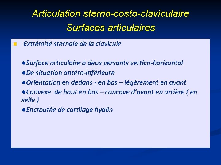 Articulation sterno-costo-claviculaire Surfaces articulaires n Extrémité sternale de la clavicule ●Surface articulaire à deux