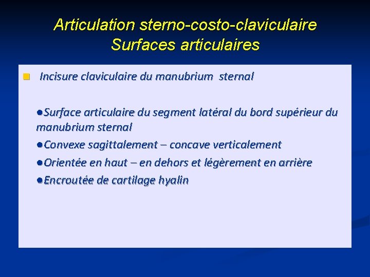 Articulation sterno-costo-claviculaire Surfaces articulaires n Incisure claviculaire du manubrium sternal ●Surface articulaire du segment