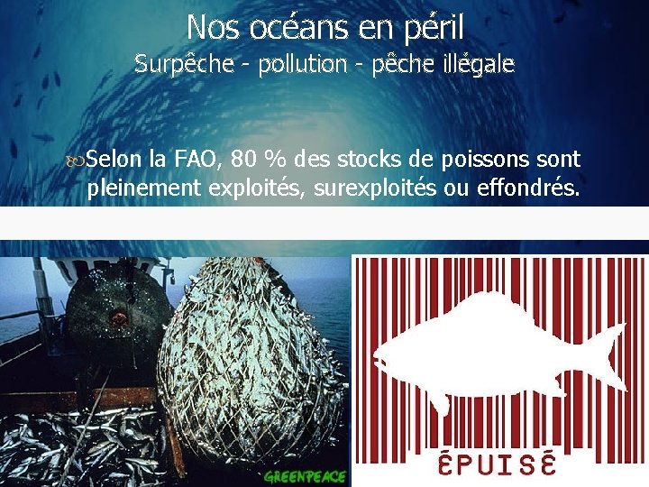 Nos océans en péril Surpêche - pollution - pêche illégale Selon la FAO, 80