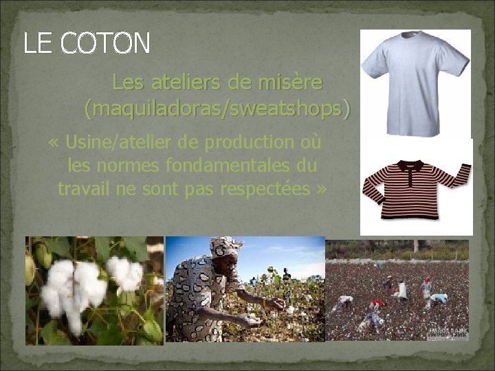 LE COTON Les ateliers de misère (maquiladoras/sweatshops) « Usine/atelier de production où les normes