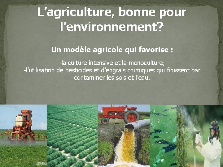 L’agriculture, bonne pour l’environnement? Un modèle agricole qui favorise : -la culture intensive et