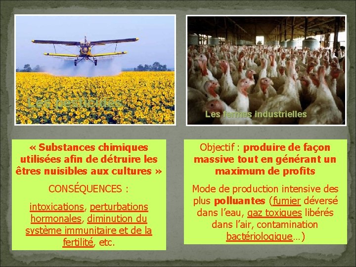 Les pesticides Les fermes industrielles « Substances chimiques utilisées afin de détruire les êtres