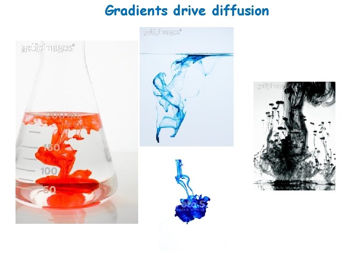 Gradients drive diffusion 