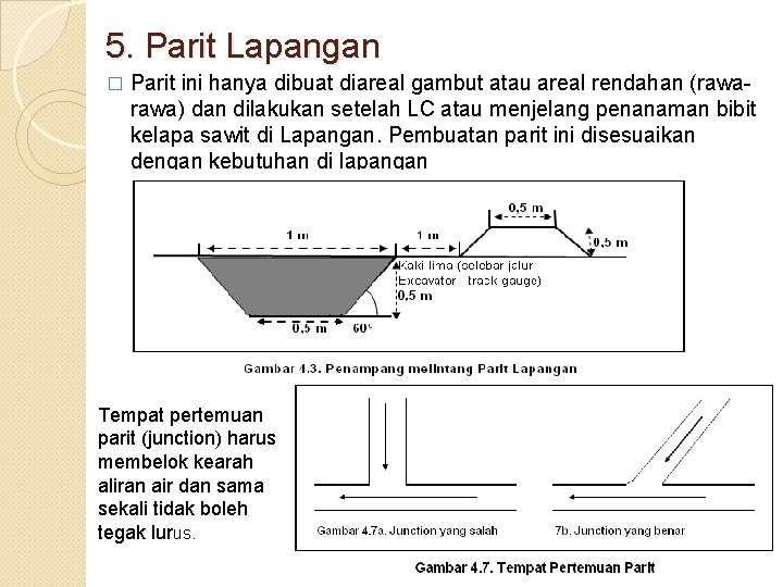 5. Parit Lapangan � Parit ini hanya dibuat diareal gambut atau areal rendahan (rawa)