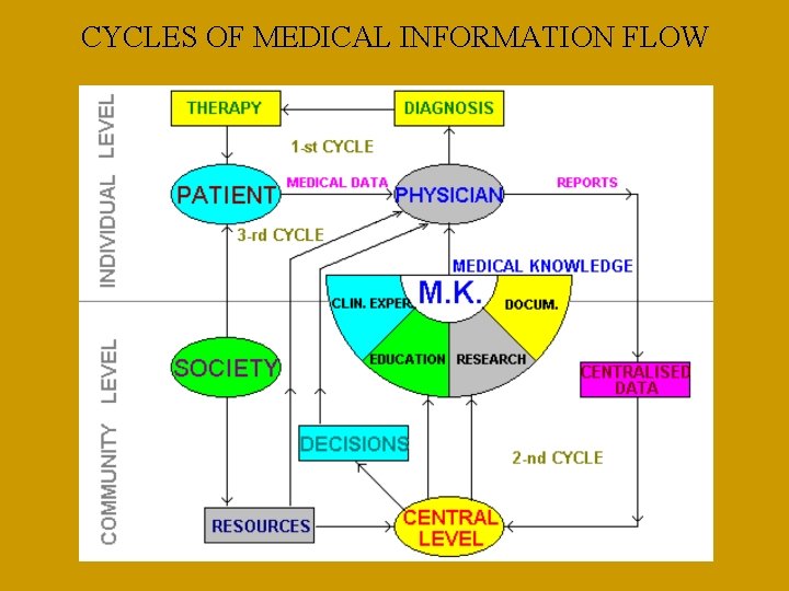 CYCLES OF MEDICAL INFORMATION FLOW 