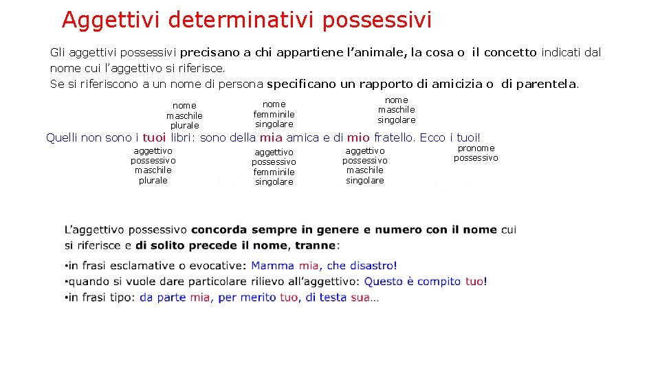 Aggettivi determinativi possessivi Gli aggettivi possessivi precisano a chi appartiene l’animale, la cosa o