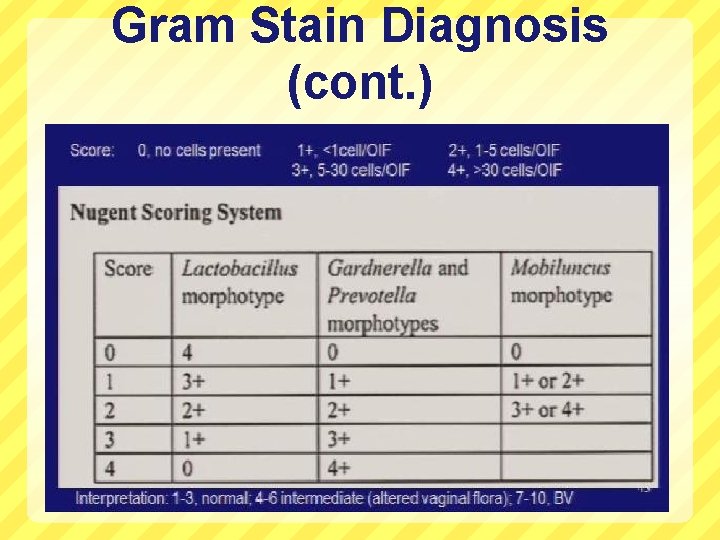 Gram Stain Diagnosis (cont. ) 