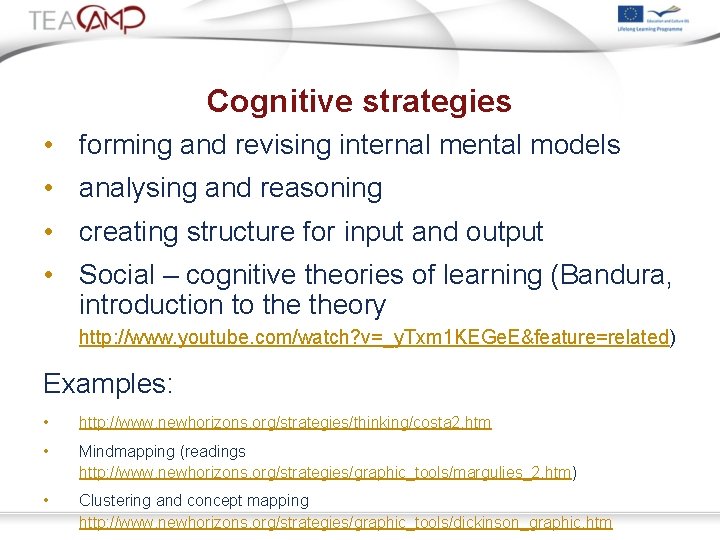 Cognitive strategies • forming and revising internal mental models • analysing and reasoning •
