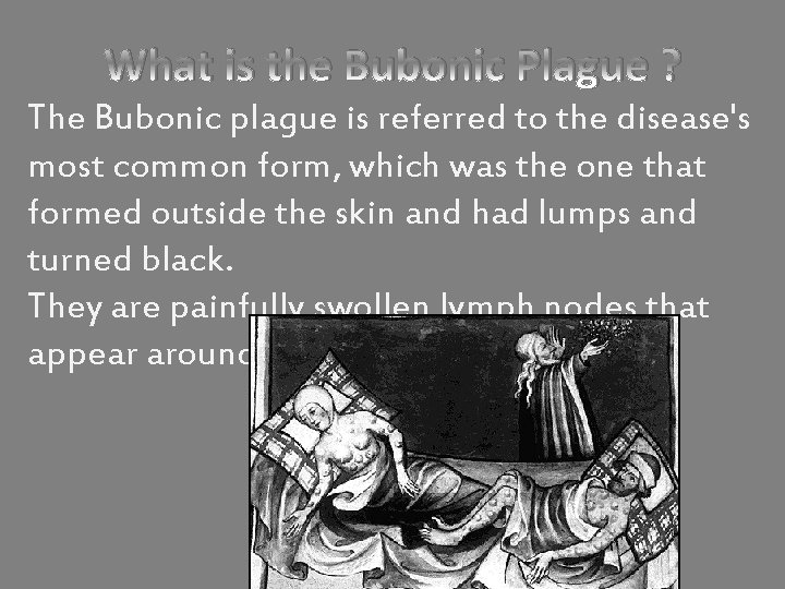 What is the Bubonic Plague ? The Bubonic plague is referred to the disease's