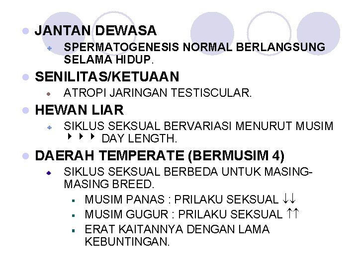 l JANTAN DEWASA SPERMATOGENESIS NORMAL BERLANGSUNG SELAMA HIDUP. l SENILITAS/KETUAAN ATROPI JARINGAN TESTISCULAR. l