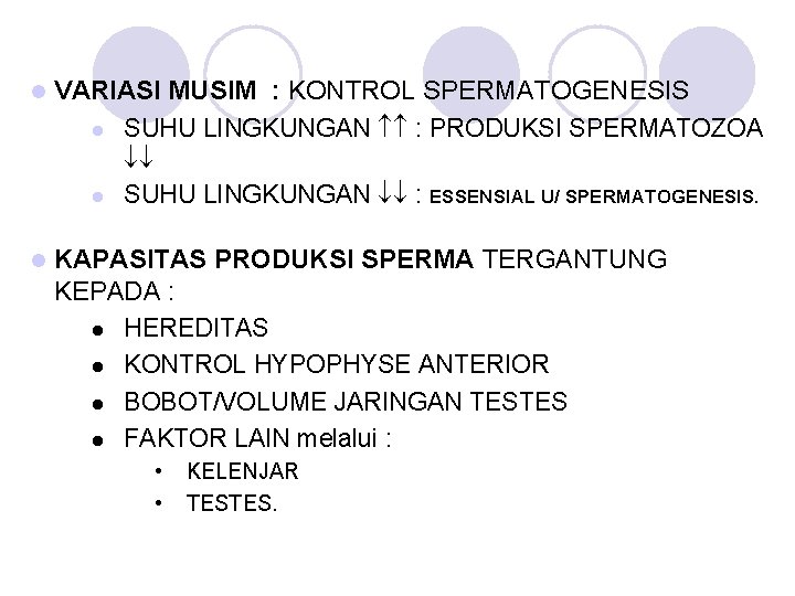 l VARIASI MUSIM : KONTROL SPERMATOGENESIS l SUHU LINGKUNGAN : PRODUKSI SPERMATOZOA l SUHU