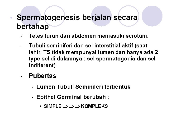  • Spermatogenesis berjalan secara bertahap • Tetes turun dari abdomen memasuki scrotum. •