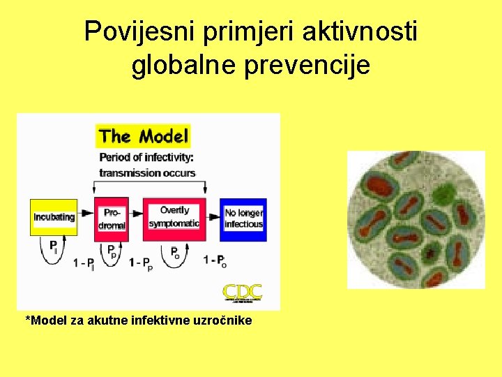 Povijesni primjeri aktivnosti globalne prevencije *Model za akutne infektivne uzročnike 