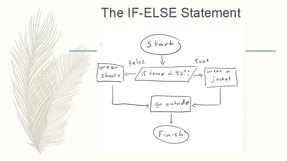 The IF-ELSE Statement 