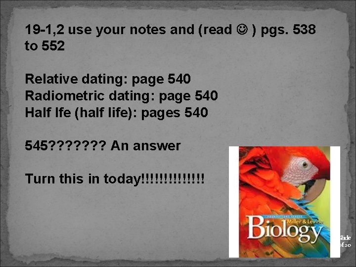 19 -1, 2 use your notes and (read ) pgs. 538 to 552 Relative