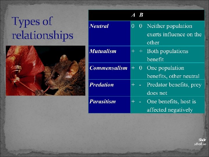 Types of relationships Slide 28 of 20 