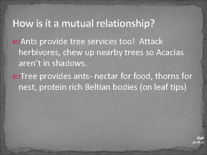 How is it a mutual relationship? Ants provide tree services too! Attack herbivores, chew