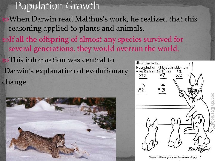 Population Growth When Darwin read Malthus’s work, he realized that this reasoning applied to