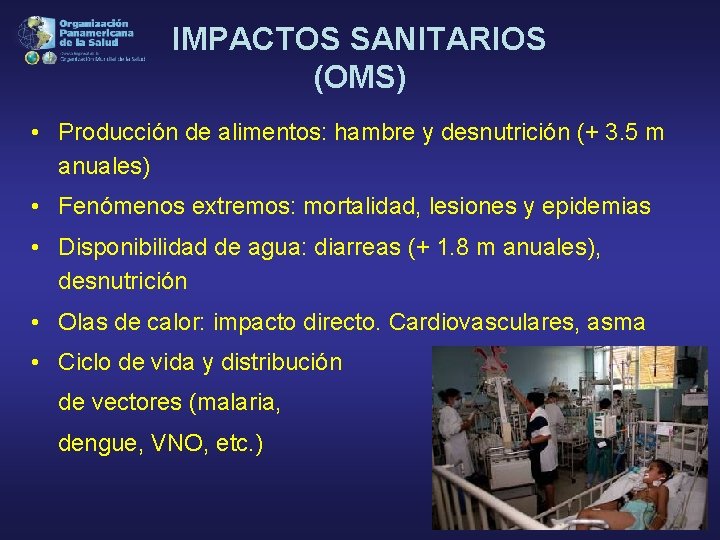 IMPACTOS SANITARIOS (OMS) • Producción de alimentos: hambre y desnutrición (+ 3. 5 m