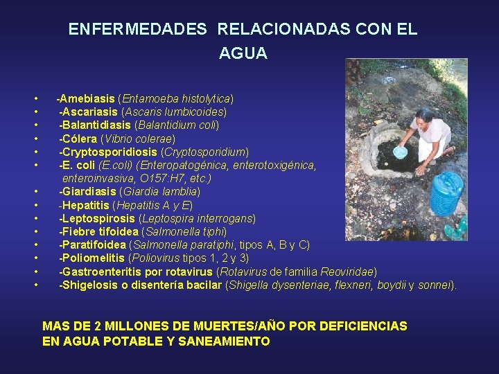 ENFERMEDADES RELACIONADAS CON EL AGUA • • • • -Amebiasis (Entamoeba histolytica) -Ascariasis (Ascaris