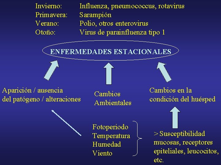 Invierno: Primavera: Verano: Otoño: Influenza, pneumococcus, rotavirus Sarampión Polio, otros enterovirus Virus de parainfluenza