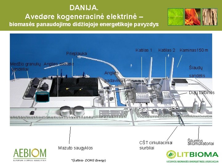 DANIJA. Avedøre kogeneracinė elektrinė – biomasės panaudojimo didžiojoje energetikoje pavyzdys Katilas 1 Prieplauka Medžio