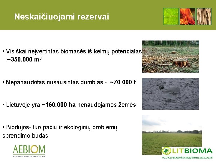 Neskaičiuojami rezervai • Visiškai neįvertintas biomasės iš kelmų potencialas – ~350. 000 m 3