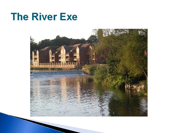 The River Exe 