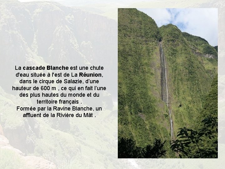 La cascade Blanche est une chute d'eau située à l'est de La Réunion, dans