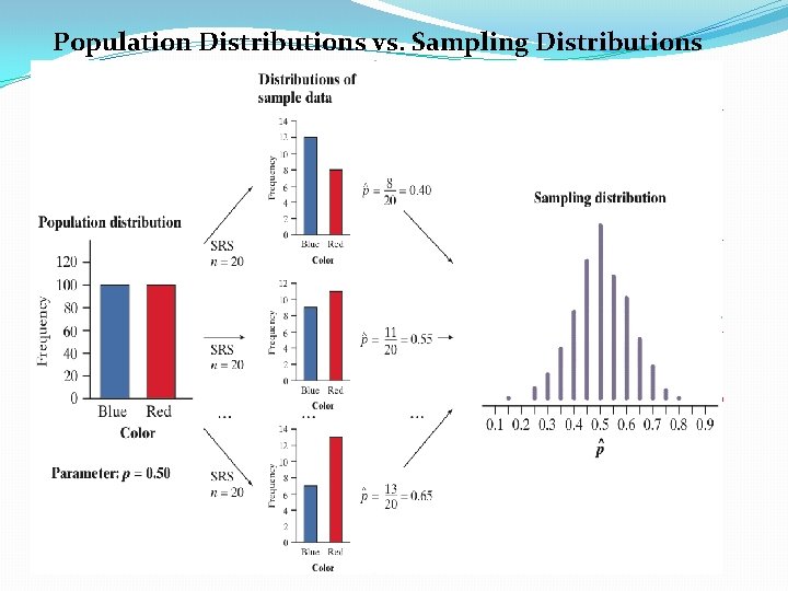 What Is a Sampling Distribution? Population Distributions vs. Sampling Distributions There actually three distinct