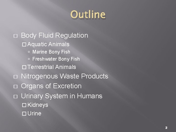 Outline � Body Fluid Regulation � Aquatic Animals Marine Bony Fish Freshwater Bony Fish