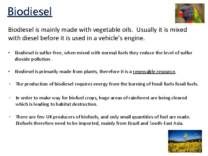 Biodiesel is mainly made with vegetable oils. Usually it is mixed with diesel before