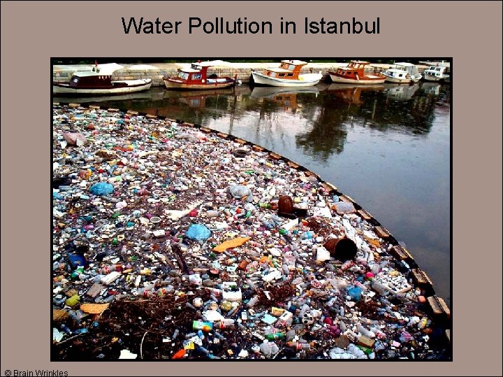 Water Pollution in Istanbul © Brain Wrinkles 