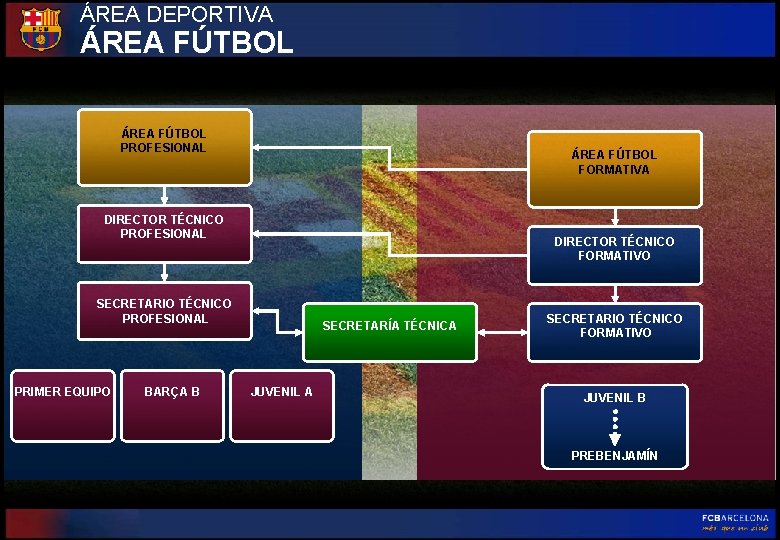 ÁREA DEPORTIVA ÁREA FÚTBOL PROFESIONAL ÁREA FÚTBOL FORMATIVA DIRECTOR TÉCNICO PROFESIONAL DIRECTOR TÉCNICO FORMATIVO