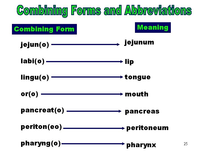 Combining Forms. Meaning & Combining Form Abbreviations (jejun) jejunum jejun(o) labi(o) lip lingu(o) tongue