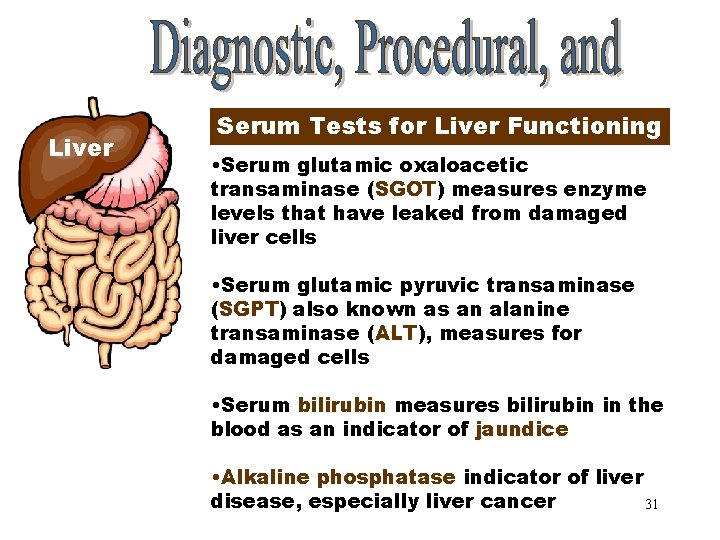 Liver Serum Tests for Liver Functioning • Serum glutamic oxaloacetic transaminase (SGOT) measures enzyme