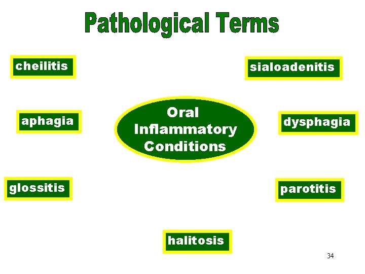 Oral Inflammatory Conditions cheilitis aphagia sialoadenitis Oral Inflammatory Conditions glossitis dysphagia parotitis halitosis 34