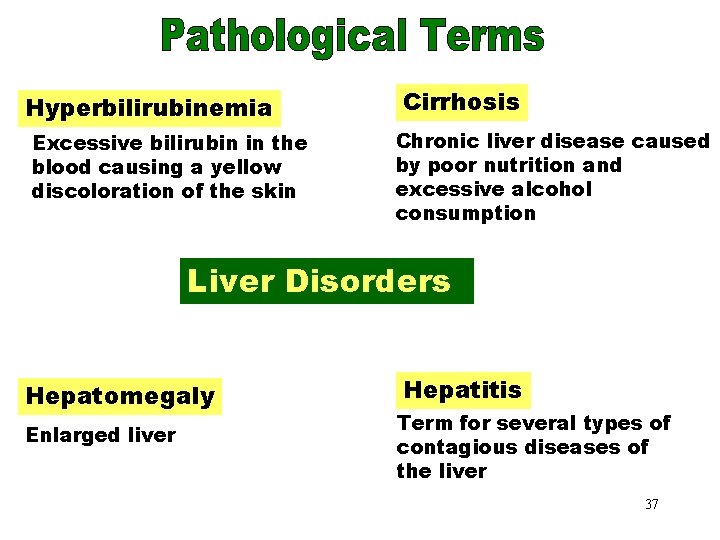 Liver Disorders Cirrhosis Hyperbilirubinemia Excessive bilirubin in the blood causing a yellow discoloration of
