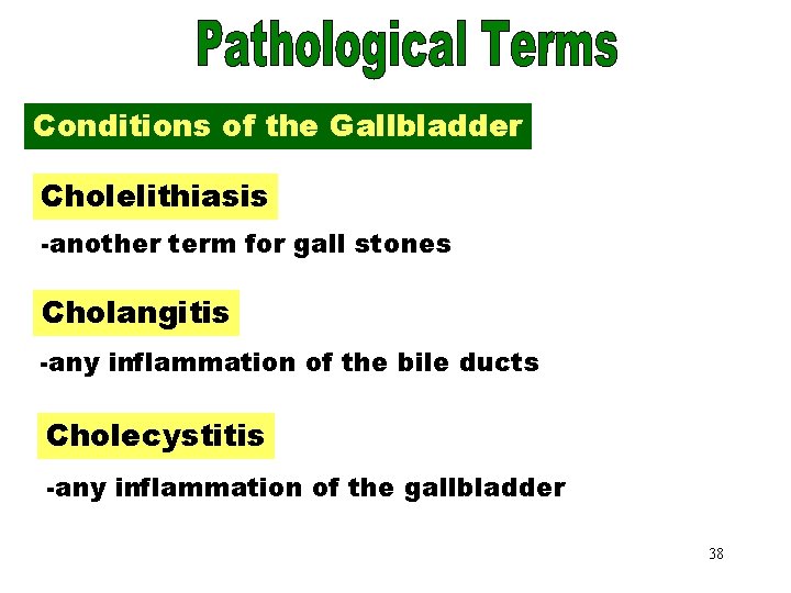 Conditions of the Gallbladder Cholelithiasis -another term for gall stones Cholangitis -any inflammation of