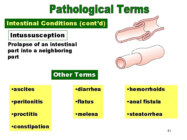 Intussusception Intestinal Conditions (cont’d) Intussusception Prolapse of an intestinal part into a neighboring part