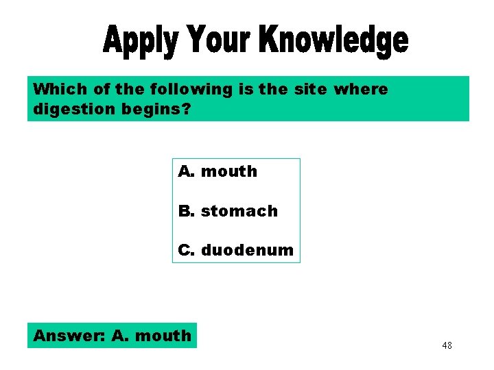 Apply Your Knowledge Part 2 Which of the following is the site where digestion