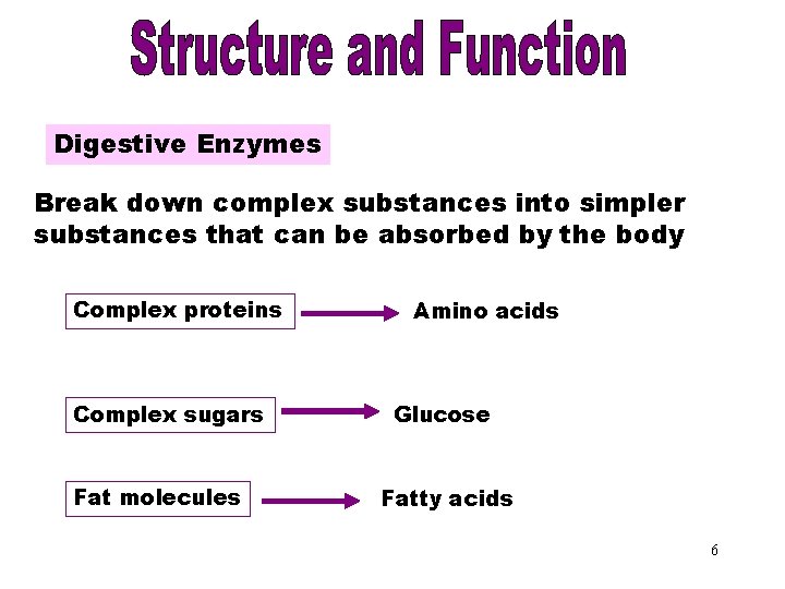 Digestive Enzymes Break down complex substances into simpler substances that can be absorbed by