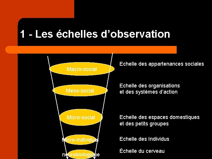 1 - Les échelles d’observation Macro-social Meso-social Micro-individuel neurobiologique Echelle des appartenances sociales Echelle