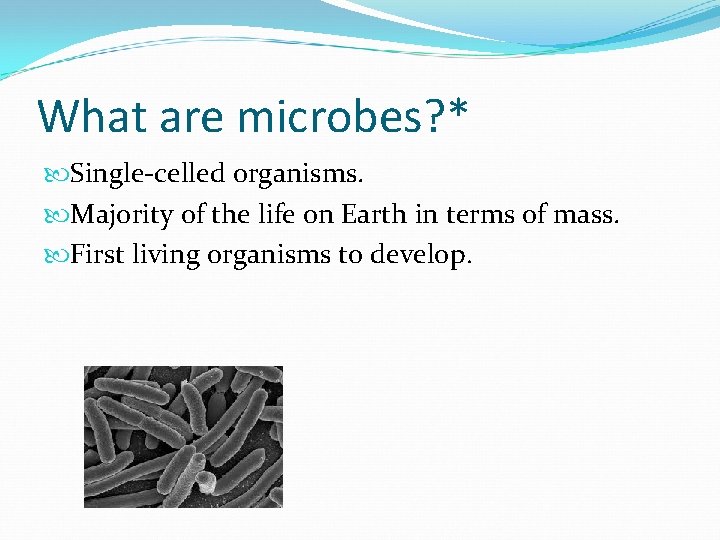 What are microbes? * Single-celled organisms. Majority of the life on Earth in terms