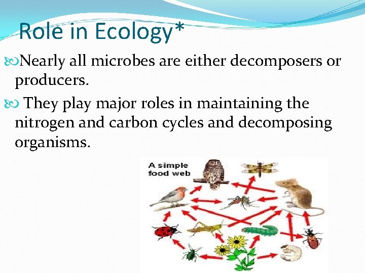Role in Ecology* Nearly all microbes are either decomposers or producers. They play major