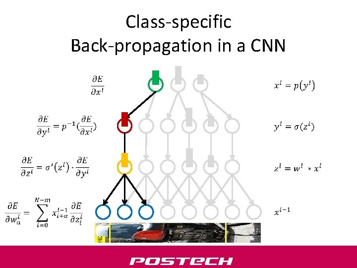 Class-specific Back-propagation in a CNN 