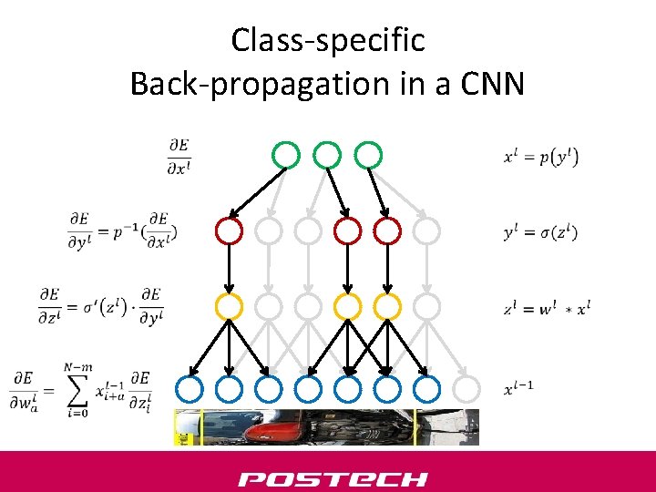 Class-specific Back-propagation in a CNN 