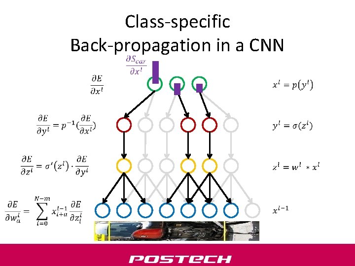 Class-specific Back-propagation in a CNN 