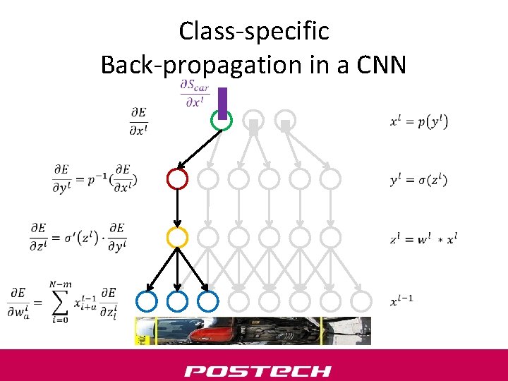 Class-specific Back-propagation in a CNN 